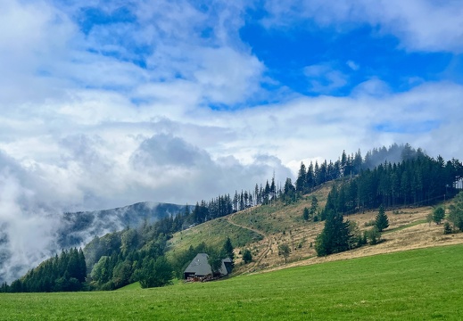 Kirchzarten - Hinterwaldkopf - Hinterzarten